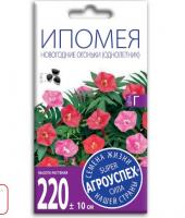 ипомея новогод