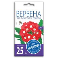 вербена красная