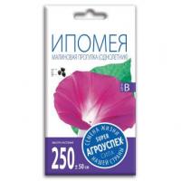 ипомея малин