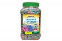 пышная гортензия
