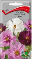 Снимок