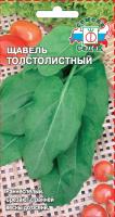 shchavel_tolstolistnyy