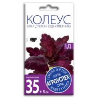 колеус блек