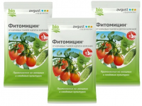Снимок