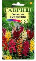Снимок