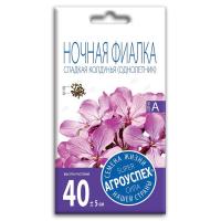ночная фиалка