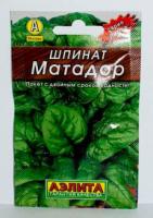 salat-45