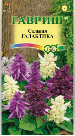 Гц/сальвия Галактика карлик.смесь 