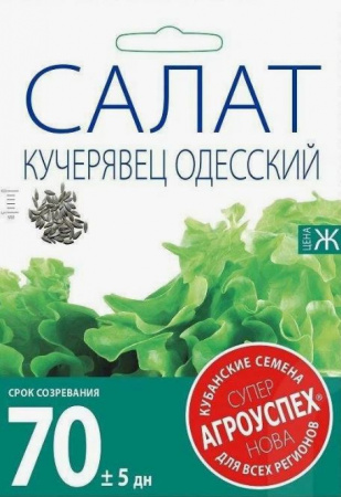 Салат Кучерявец Одесский 5гр. Агроуспех