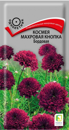 Космея Махровая Кнопка Бордовая 0,1гр Поиск
