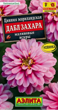 Ац/цинния Дабл Захара малиновые искры О h50см *5 шт