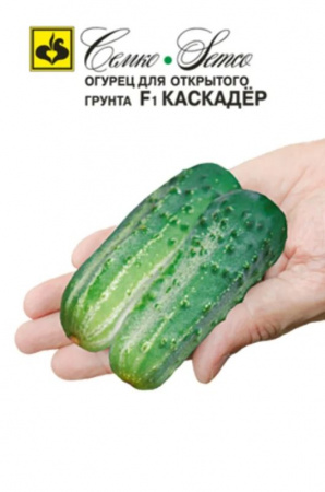 Огурец КАСКАДЕР F1 Семко 1гр