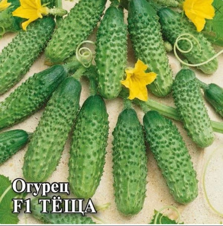 Огурец F1 Теща Гавриш 100шт