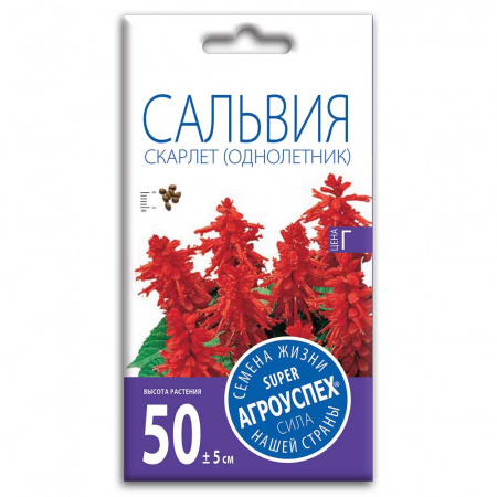 Г/Сальвия скарлет (однолетник) 0,1г