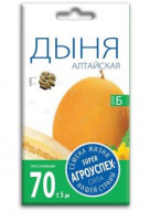 6565