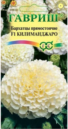 Бархатцы Килиманджаро F1, белые 0,5гр Гавриш