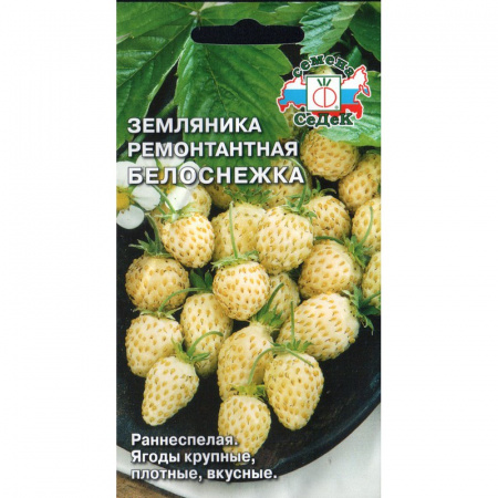 Земляника Белоснежка, семена Седек 0,04г