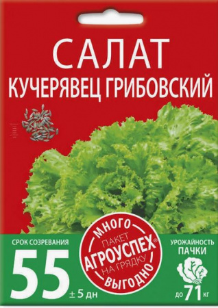 Салат Кучерявец Грибовский 3гр Агроуспех 