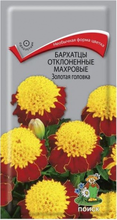 Бархатцы ЗОЛОТАЯ ГОЛОВКА МАХРОВЫЕ 0,4гр ПОИСК