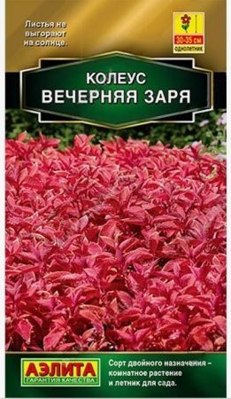 Колеус Блюме Вечерняя Заря 10шт Аэлита