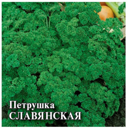 Петрушка СЛАВЯНСКАЯ 50гр Гавриш